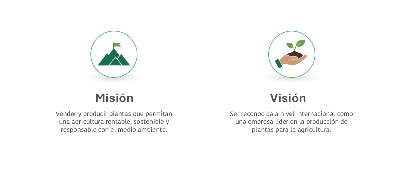 Misión visión ilustraciones