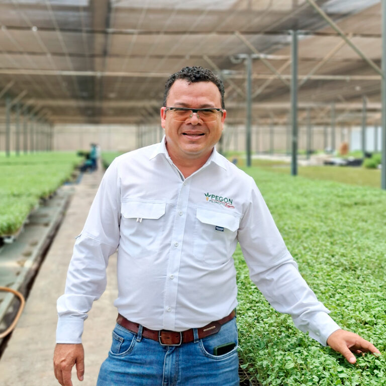 Pegon piloncito