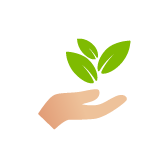 Sostenibilidad y agricultura responsable