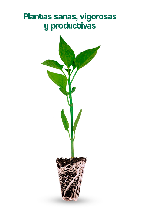 bANNER NOSOTROS final 3