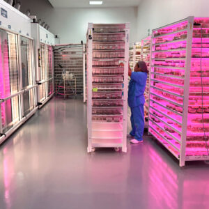 Sistemas de producción eficientes
