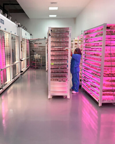 Sistemas de producción eficientes