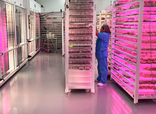 Sistemas de producción eficientes