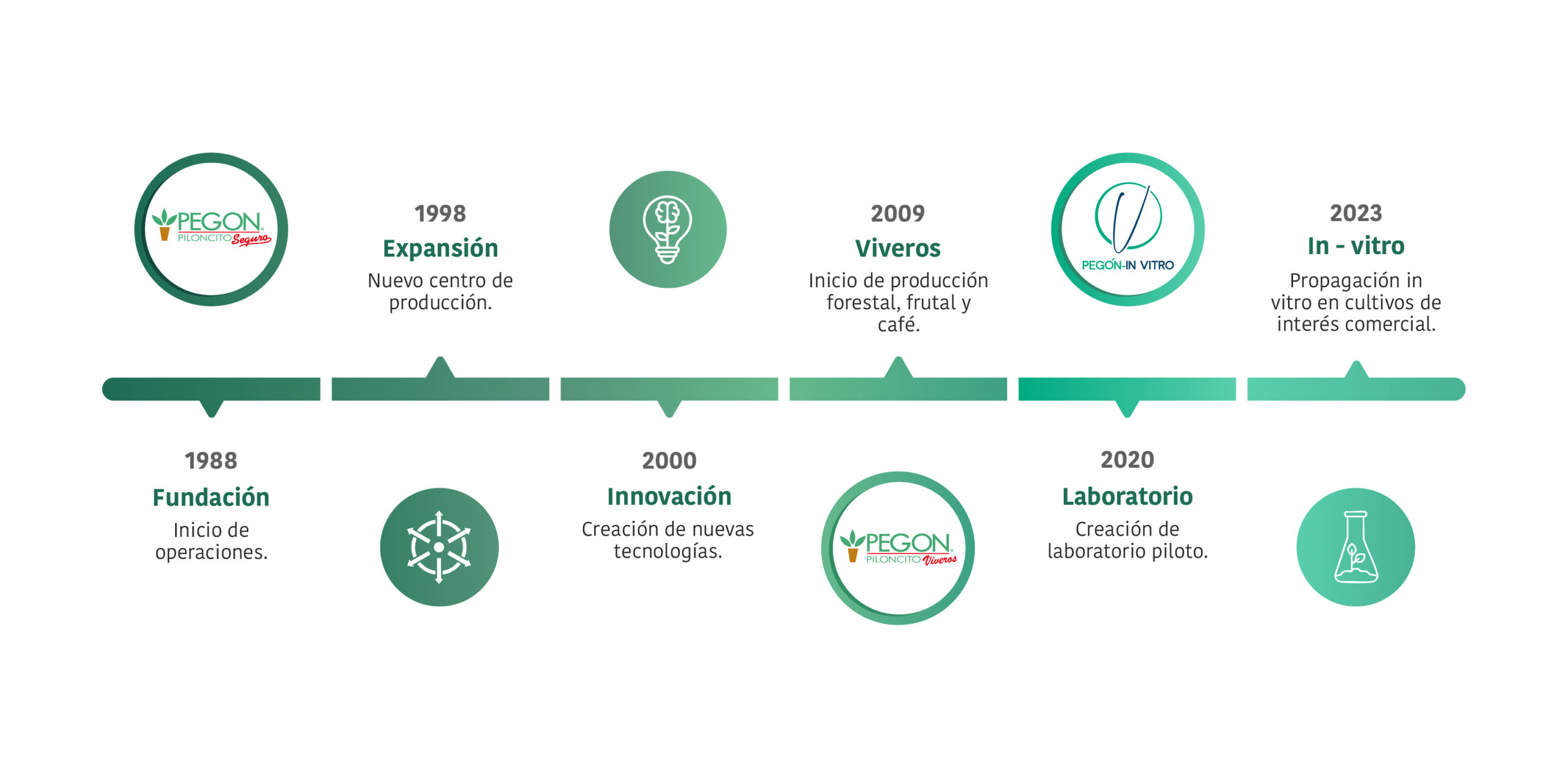 linea de tiempo lc final 2
